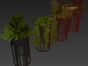 Collection plant vol 525 - circle - palm - office - pothos 3D मॉडल