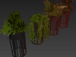Collection plant vol 525 - circle - palm - office - pothos 3D Model