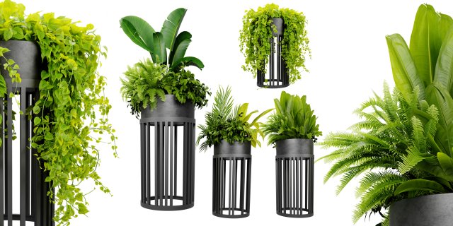 Collection plant vol 525 - blender model Modelo 3D .c4d .max .obj .3ds .fbx .stl .blend 