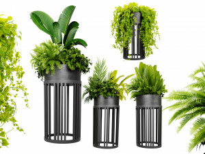 Collection plant vol 525 - blender model 3D Model