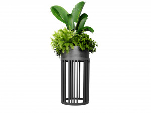 Collection plant vol 525 - blender model Modelo 3D