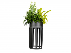 Collection plant vol 525 - blender model Modelo 3D