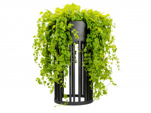 Collection plant vol 525 - blender model Modelo 3D