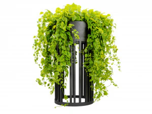 Collection plant vol 525 - blender model 3D Model