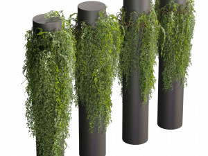 Collection plant vol 526 - bush - outdoor - column - fitowall - ivy 3Dモデル