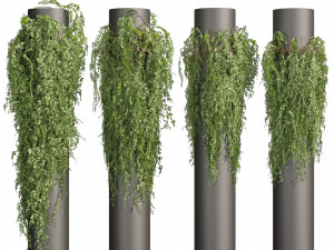 Collection plant vol 526 - bush - outdoor - column - fitowall - ivy 3Dモデル