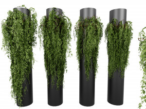 Collection plant vol 526 - blender model 3D Model