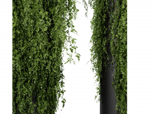 Collection plant vol 526 - blender model 3D 模型