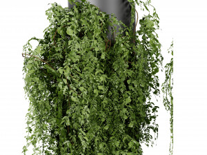 Collection plant vol 526 - blender model 3D 模型