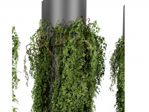 Collection plant vol 526 - blender model 3D 模型