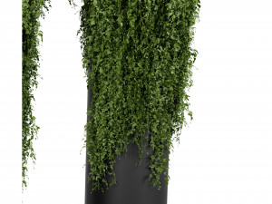 Collection plant vol 526 - blender model 3D 模型