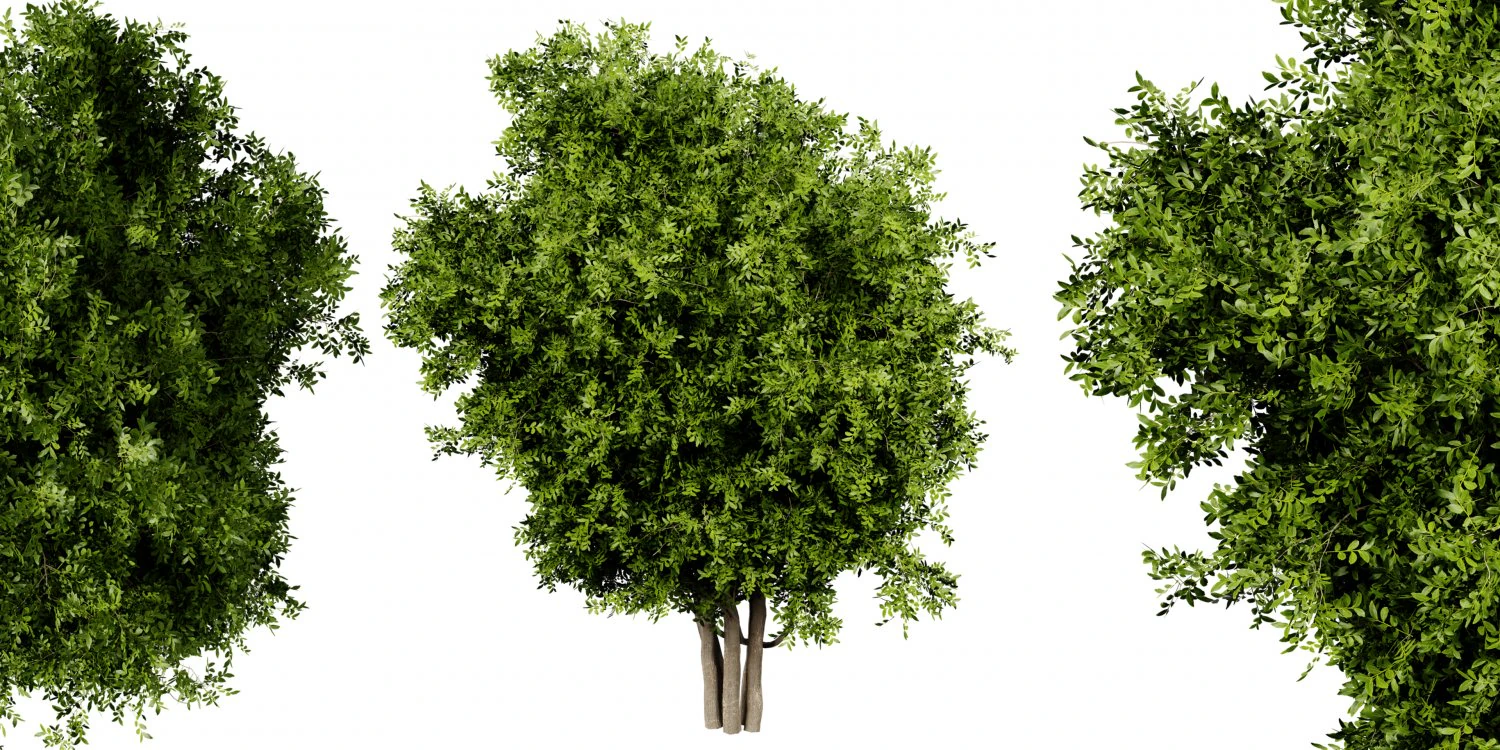 Collection plant vol 527 - blender model 3D Model .c4d .max .obj .3ds .fbx .stl .blend 
