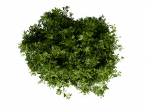 Collection plant vol 527 - blender model Modelo 3D