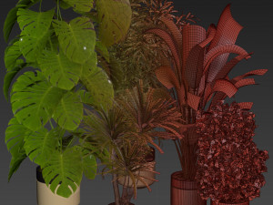 Collection plant vol 528 - banana - aspidistra - palm - bush Modèle 3D