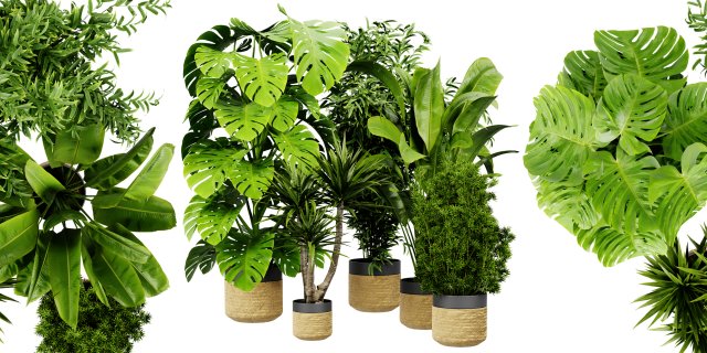 Collection plant vol 528 - blender model 3Dモデル .c4d .max .obj .3ds .fbx .stl .blend 