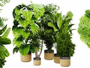 Collection plant vol 528 - blender model 3D Model
