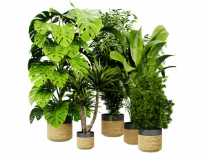 Collection plant vol 528 - blender model 3Dモデル
