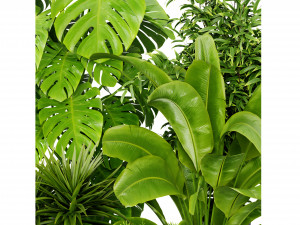 Collection plant vol 528 - blender model 3Dモデル