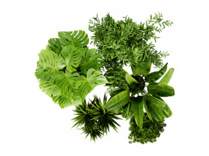 Collection plant vol 528 - blender model 3D Model
