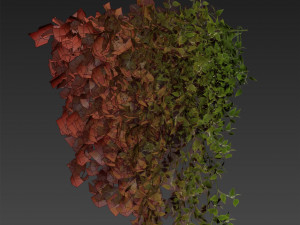 Collection plant vol 529 - bush - Outdoor - ivy - pothos Modèle 3D