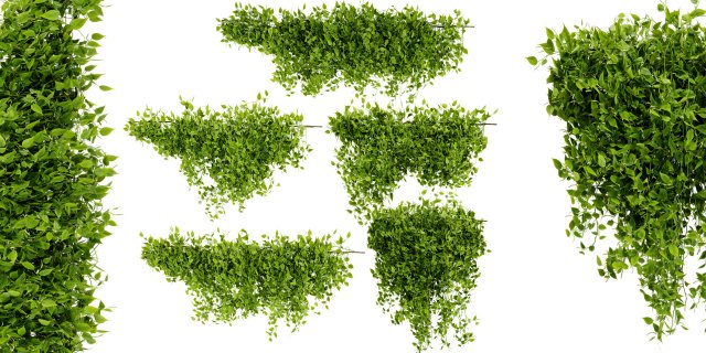 Collection plant vol 529 - blender model 3D 模型 .c4d .max .obj .3ds .fbx .stl .blend 