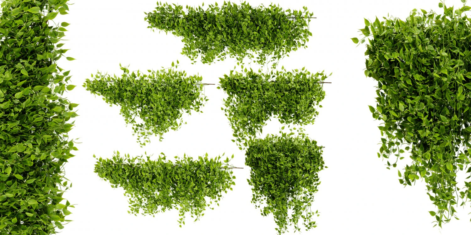 Collection plant vol 529 - blender model 3D Model .c4d .max .obj .3ds .fbx .stl .blend 