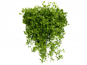 Collection plant vol 529 - blender model 3D Model