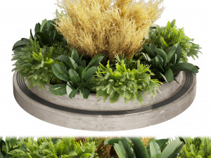 Collection plant vol 530 - garden - pampas - banana 3D Модель