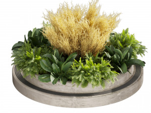Collection plant vol 530 - garden - pampas - banana 3D-Modell