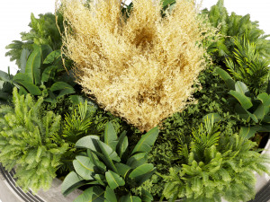 Collection plant vol 530 - garden - pampas - banana 3D-Modell
