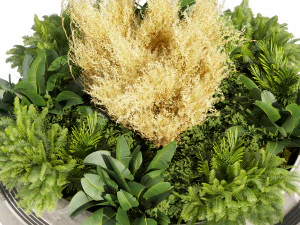 Collection plant vol 530 - garden - pampas - banana 3D Model