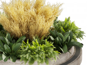 Collection plant vol 530 - garden - pampas - banana 3D-Modell