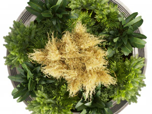 Collection plant vol 530 - garden - pampas - banana 3D Model