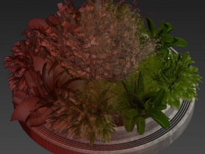 Collection plant vol 530 - garden - pampas - banana 3D-Modell