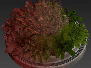 Collection plant vol 530 - garden - pampas - banana 3D Model