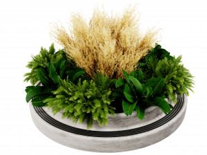 Collection plant vol 530 - blender model 3Dモデル
