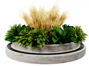 Collection plant vol 530 - blender model 3D Model