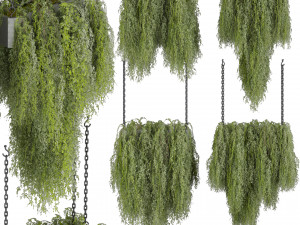 Collection plant vol 531 - hanging - bush - ampelous 3D Модель