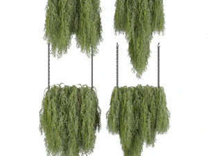 Collection plant vol 531 - hanging - bush - ampelous 3D Model
