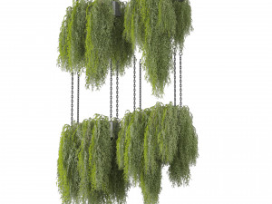 Collection plant vol 531 - hanging - bush - ampelous 3D Model