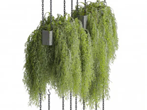 Collection plant vol 531 - hanging - bush - ampelous 3D Model