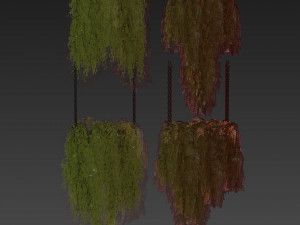 Collection plant vol 531 - hanging - bush - ampelous 3D Model