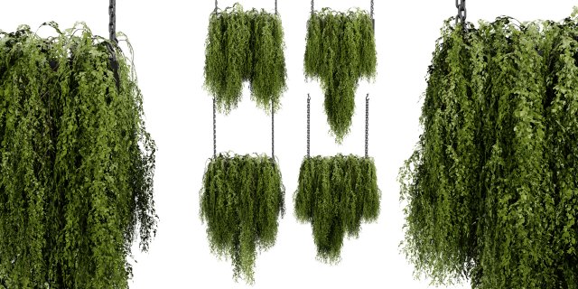 Collection plant vol 531 - blender model Modèle 3D .c4d .max .obj .3ds .fbx .stl .blend 