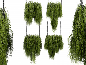 Collection plant vol 531 - blender model 3D Модель