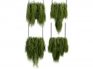 Collection plant vol 531 - blender model 3D Model