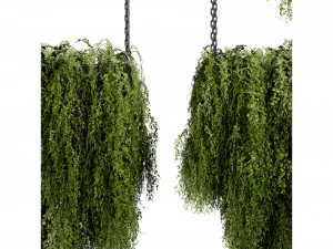 Collection plant vol 531 - blender model 3D Model