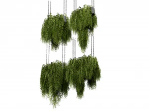 Collection plant vol 531 - blender model 3D Model
