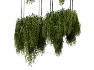 Collection plant vol 531 - blender model 3D Model