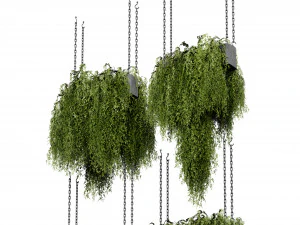 Collection plant vol 531 - blender model 3D Model