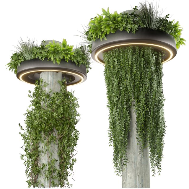 Collection plant vol 532 - bush - ampelous - column - fitowall - ivy 3D Модель .c4d .max .obj .3ds .fbx .stl .blend 